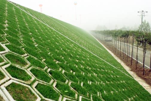 1647243996210115.jpg 護坡磚案例.jpg