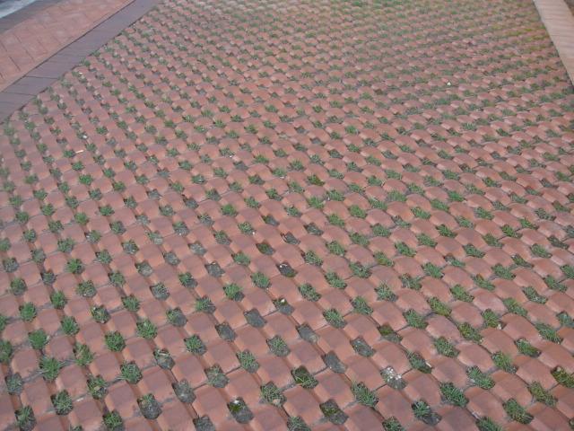 1647244034152572.jpg 井字磚案例.jpg